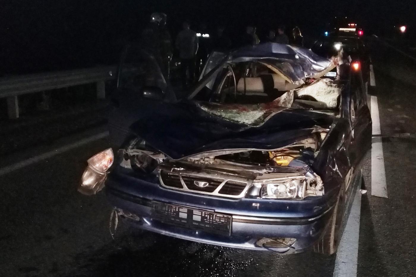 В Свердловской области водитель Daewoo сбил насмерть лося и погиб сам - Фото 1