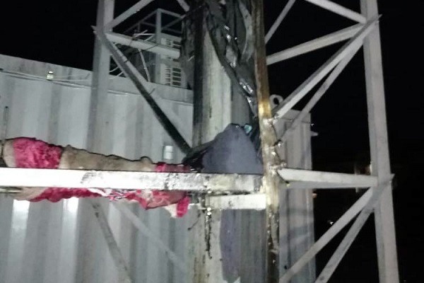 Фото предоставлено В.Н. Горелых.