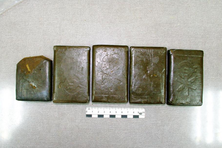 На железнодорожном вокзале Екатеринбурга у пассажира поезда нашли полкило гашиша - Фото 1