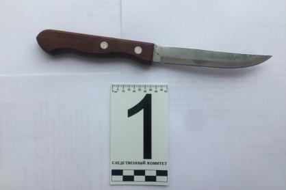 В Кировграде осудили 56-летнего местного жителя, который ударил соседку ножом в шею - Фото 1