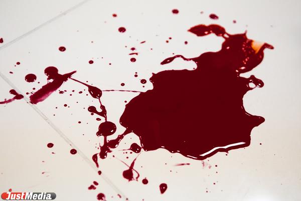 В Екатеринбурге будут судить мужчину, который ударил ножом 17-летнего гостя, а потом добил его молотком - Фото 1