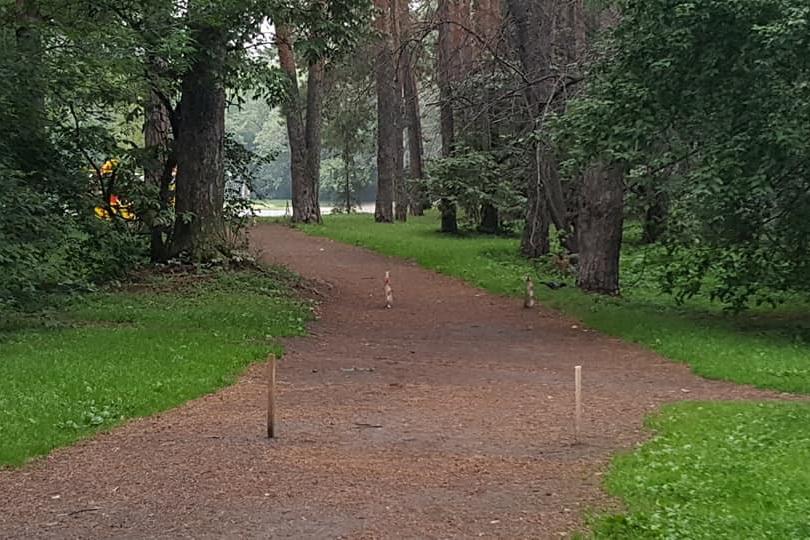 «Такое благоустройство быстро придет в негодность». Урбанист Злоказов опасается, что Зеленую Рощу «убьет» коммунальная техника - Фото 1