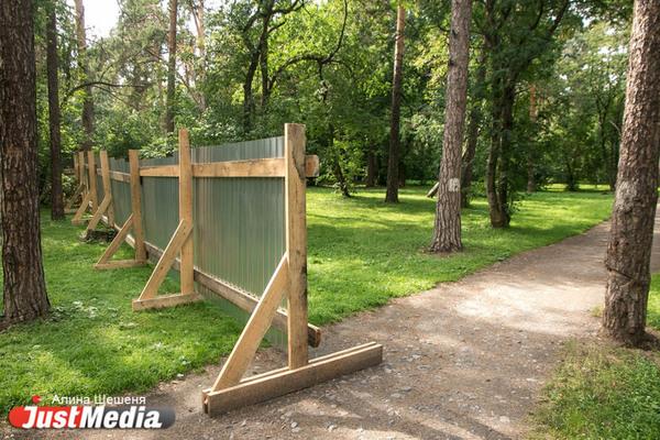 В Шабрах за три миллиона вырубят тополино-кленовый сквер - Фото 1