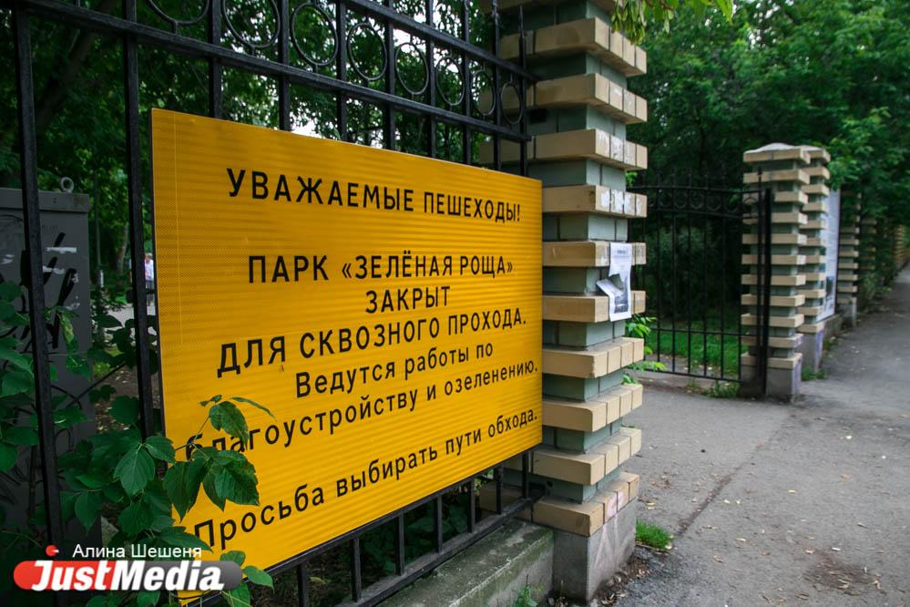 Урбанисты не смогли добиться изменений в плане благоустройства «Зеленой Рощи» - Фото 1