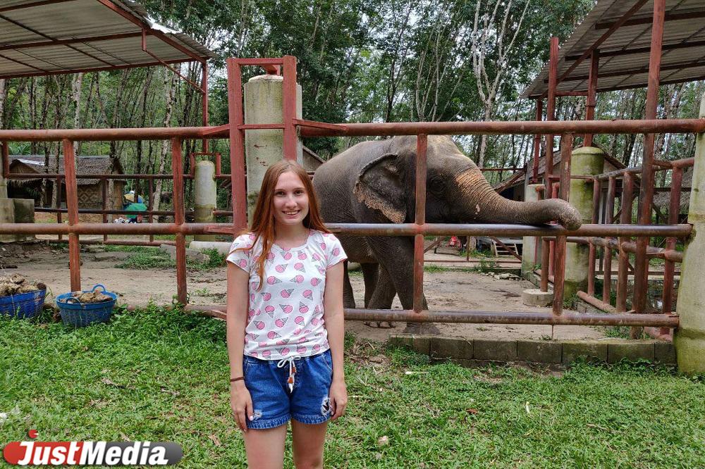 Журналист Анна Чернобривцева из Таиланда: «Хочется верить, что совсем скоро будет еще чуть-чуть теплее». В Екатеринбурге +16 - Фото 1