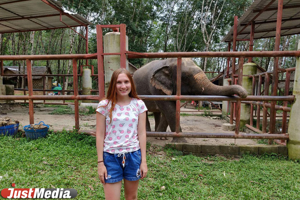 Журналист Анна Чернобривцева из Таиланда: «Хочется верить, что совсем скоро будет еще чуть-чуть теплее». В Екатеринбурге +16