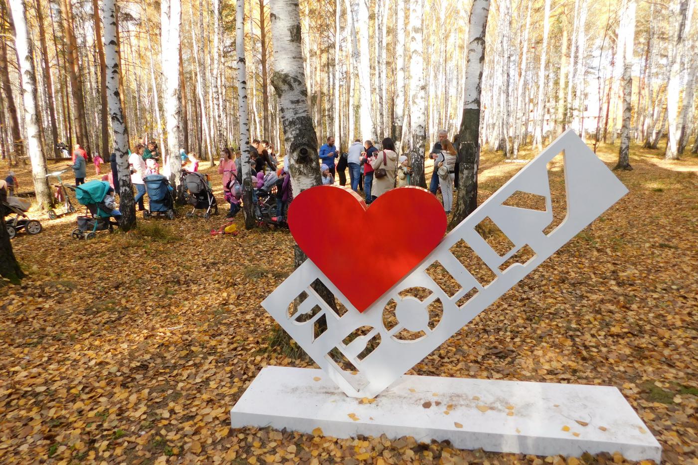 Эксперты УрО РАН подтвердили, что березовая роща в Академическом является лесом - Фото 1