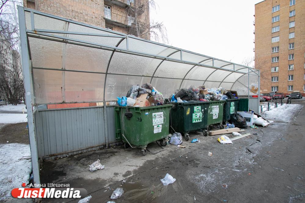В четырех поселках в окрестностях Екатеринбурга появятся контейнерные площадки - Фото 1