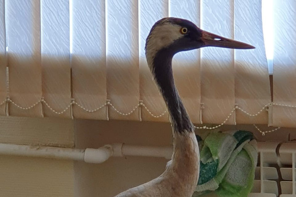 Фото предоставлены Мариной и взяты из соцсетей