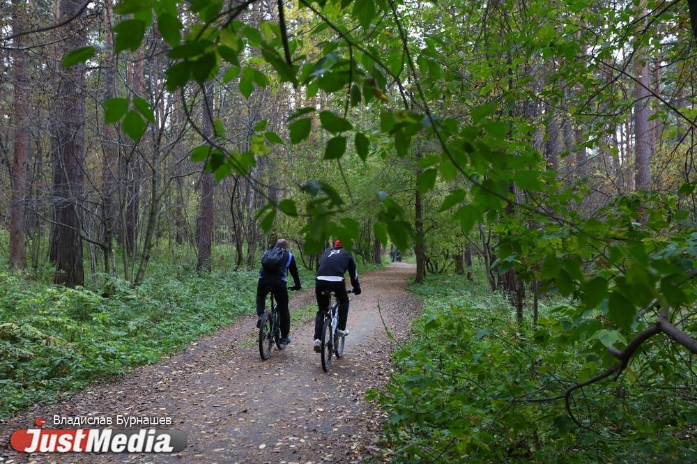  В Екатеринбурге парки и скверы получат дополнительное освещение  - Фото 1