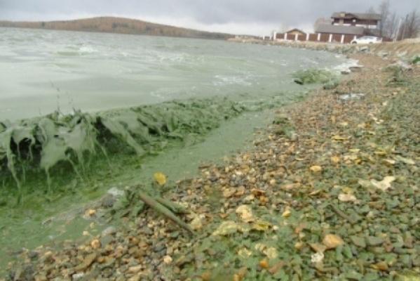 На Урале нашли экологическую проблему, о которой придется регулярно отчитываться вице-губернатору Бидонько - Фото 1