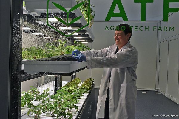 На науку области выделили 200 миллионов рублей