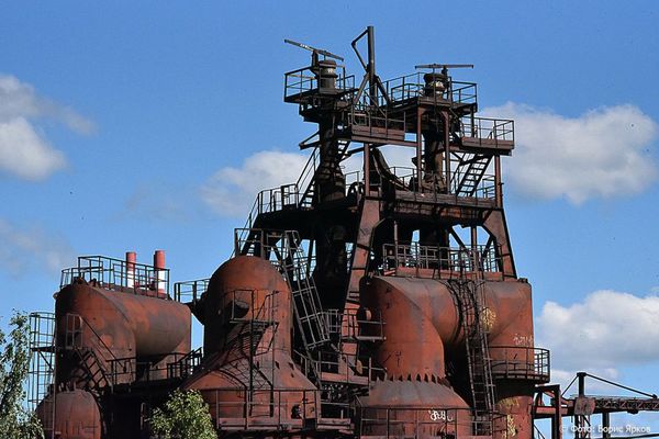 Полмиллиарда на экологию: власти области увеличили природоохранный бюджет