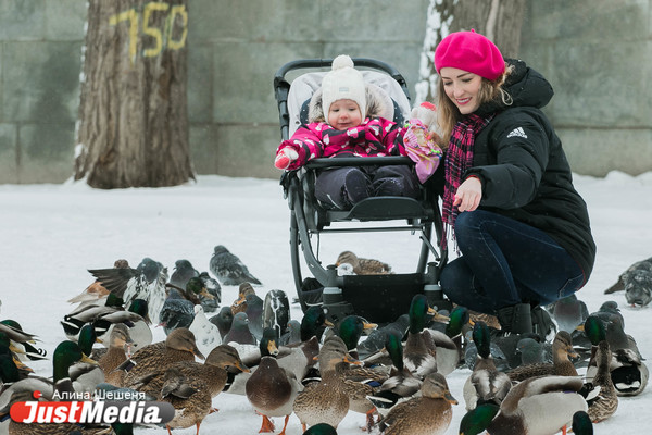 Александра Репьева, «Яндекс»: «Для мамы малыша хорошая зимняя погода – это сказка каждый день». В Екатеринбурге -3