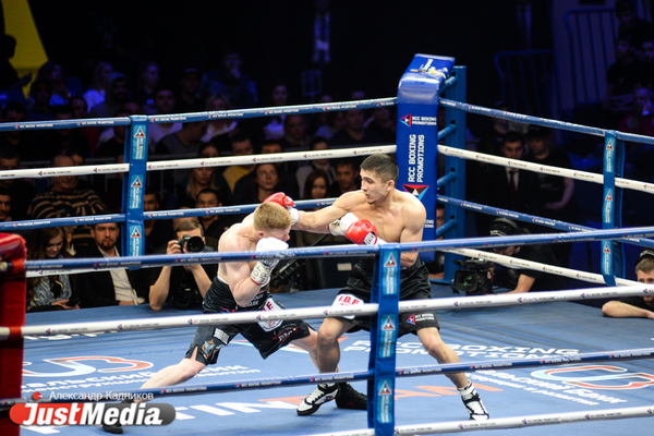 Уральский боксер Мухаммад Якубов нокаутировал филиппинца Джона Гемино - Фото 1