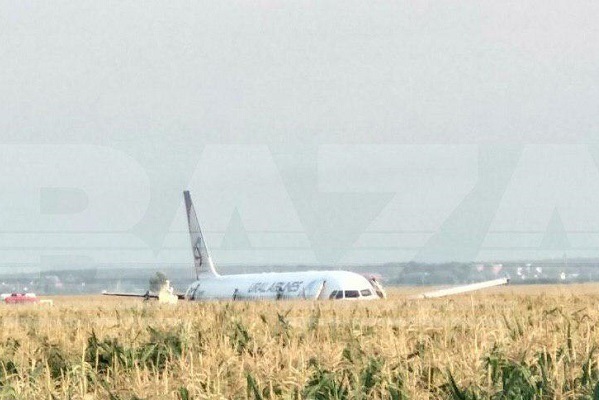 Самолет, аварийно севший в кукурузном поле, утилизируют - Фото 1
