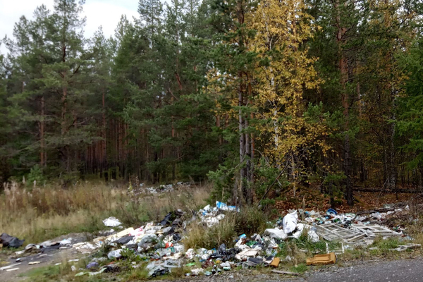 В Свердловской области ликвидированы 5 несанкционированных свалок, где было 90 тонн мусора - Фото 1