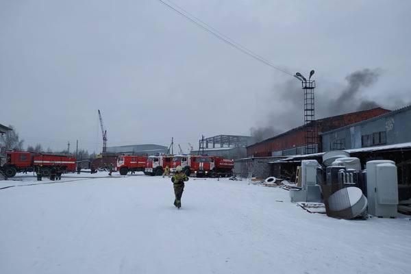 Пожарные справились с огнем на складе покрышек в Большом Истоке - Фото 1