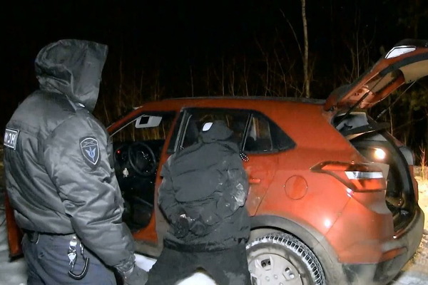 Полиция Екатеринбурга задержала криминальную пару, занимавшуюся угонами иномарок - Фото 1