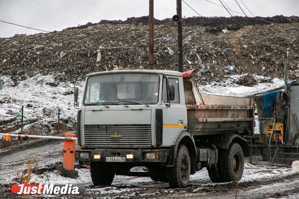 Тлеющую свалку на Коммунистической засыплют снегом - Фото 1
