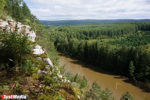 Ученые нашли на Урале более 40 новых видов беспозвоночных - Фото 1