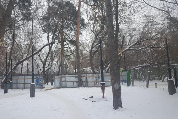 Активисты Екатеринбурга не оценили офонарение Зеленой рощи - Фото 1