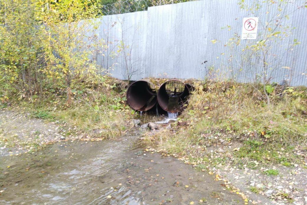 Нижнетагильский Водоканал заплатит 150 тысяч рублей за загрязнение Черноисточинского пруда - Фото 1