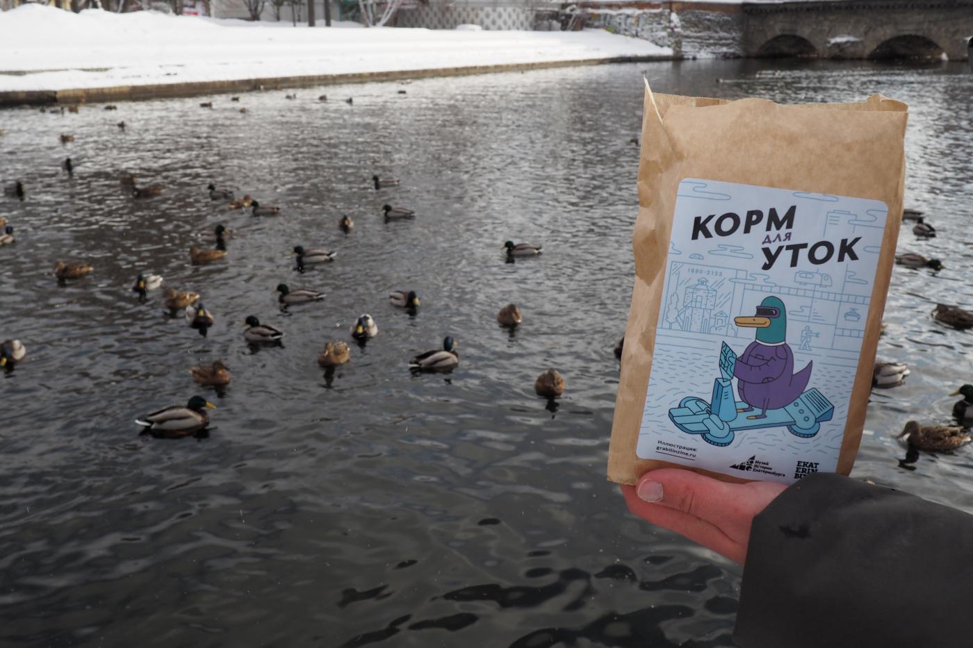 В Водонапорной башне появился корм для городских уток  - Фото 1