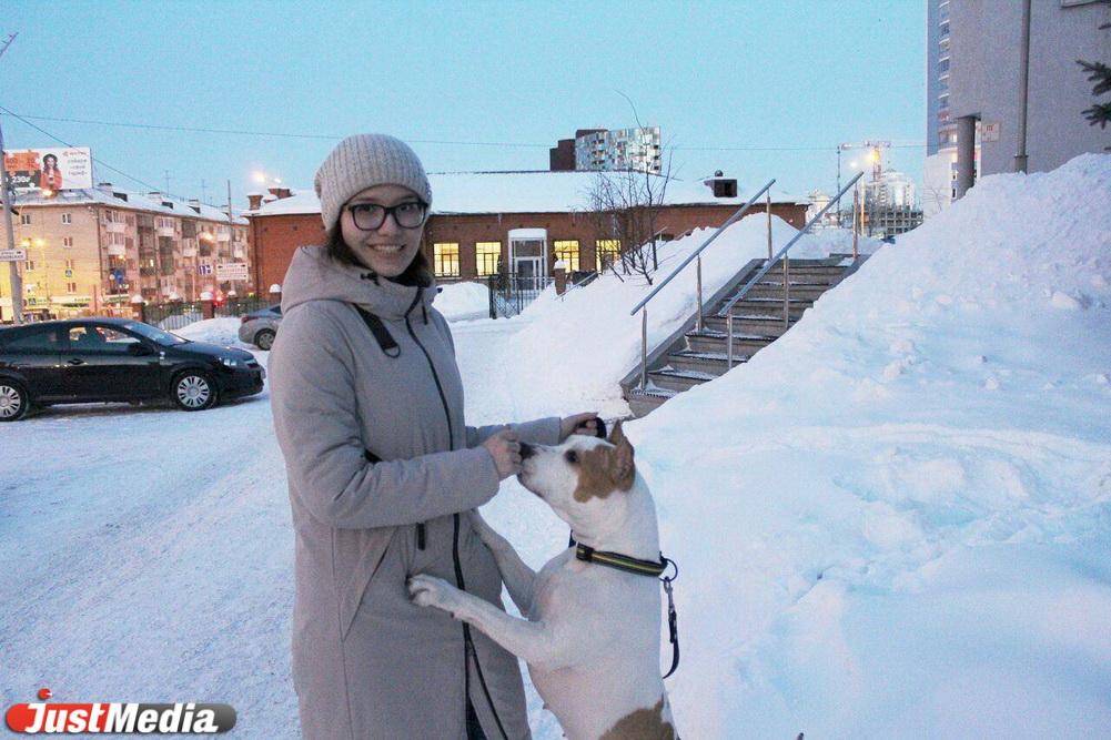Карина Низамова, тренер стаффорда: «Хлоя очень любит скакать по сугробам, и это у нее не отнять». В Екатеринбурге -5 и небольшой снег  - Фото 1