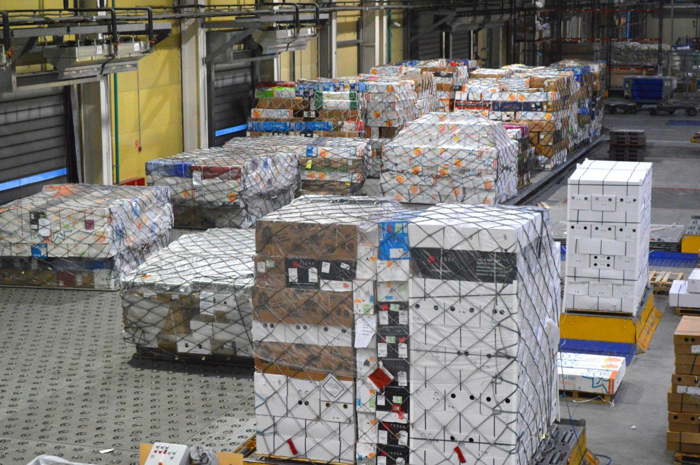 К 8 марта готовы! В Кольцово приземлились семь самолетов, груженых цветами - Фото 1