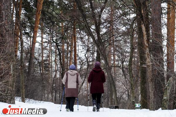 Екатеринбуржцев спросят о развитии Шарташского лесопарка - Фото 1
