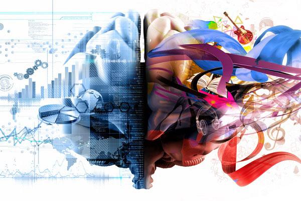 Викиум снизил цены на некоторые из своих курсов  - Фото 1