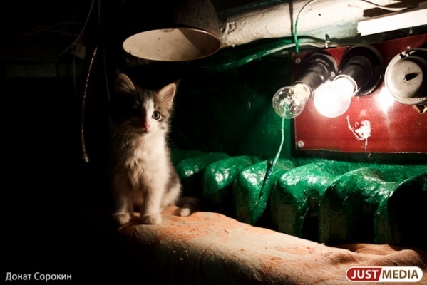 Предприятиям энергетики и ЖКХ запретили проводить плановые ремонты до конца «карантина»