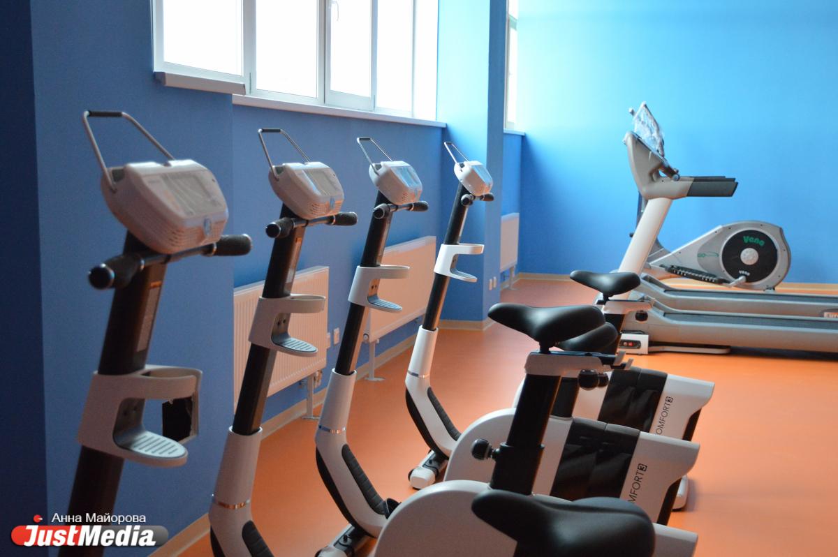 Владельцы фитнес-клубов попросили Куйвашева разрешить работу спортзалов - Фото 1