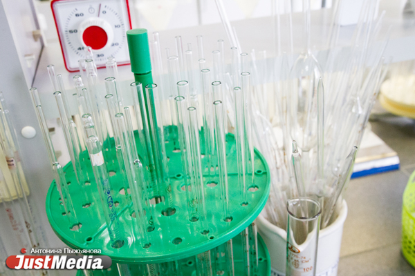 В Свердловской области за сутки подтвердилось 74 новых случая коронавируса