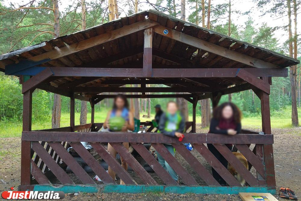 Екатеринбуржцы возмущены тем, что в Парке Победы в «карантин» сдают в аренду беседки - Фото 1