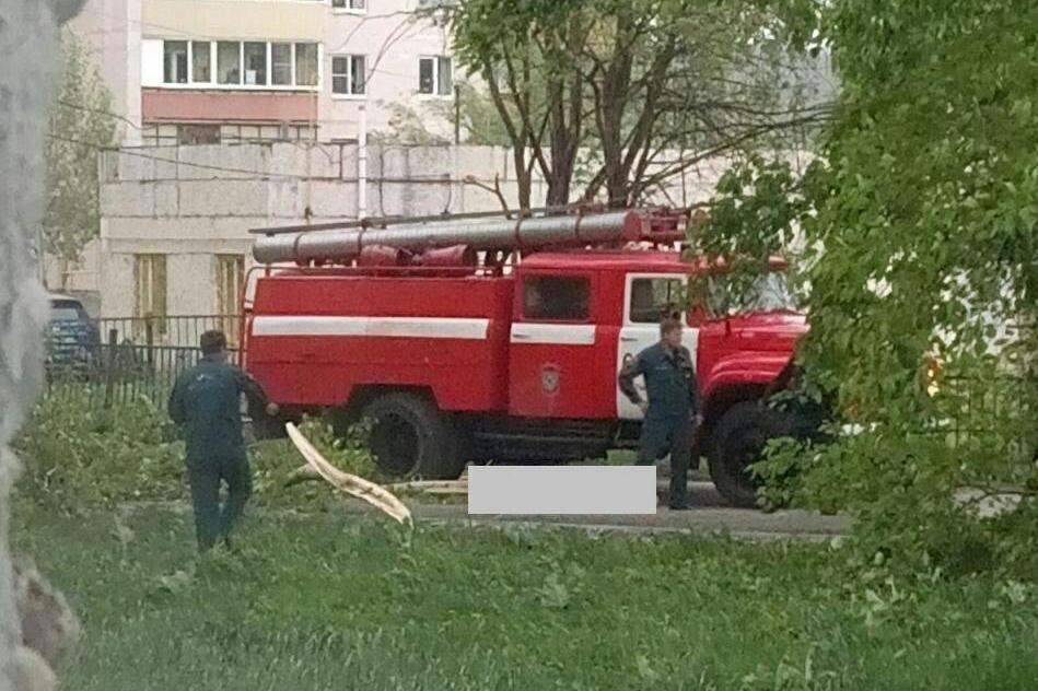 В Полевском во время урагана ветка тополя убила женщину - Фото 1