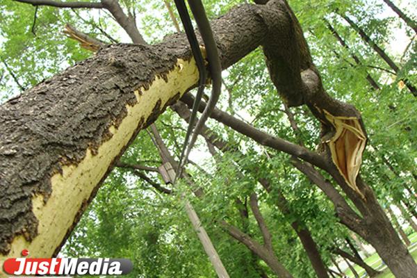 Куйвашев рассказал о еще одной пострадавшей во время урагана в Свердловской области - Фото 1