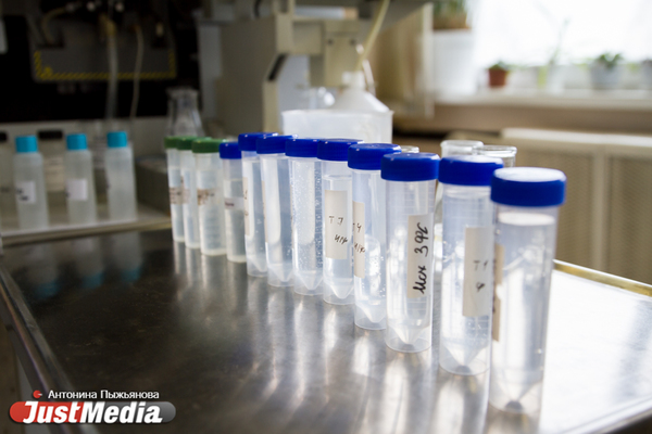 Куйвашев рассказал, кто может сдать тест на антитела к коронавирусу бесплатно