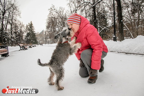 Ирина Лешукова, дрессировщик с цверкшнауцером: «Замечательная зима, можно гулять и играть с собакой». В Екатеринбурге +1 - Фото 1