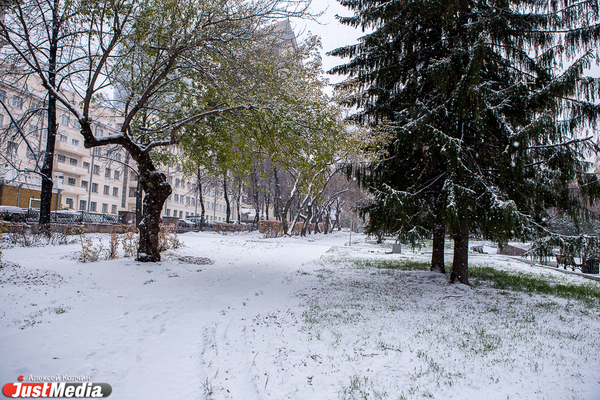 Потепление в Свердловской области будет сопровождать сильный снегопад - Фото 1
