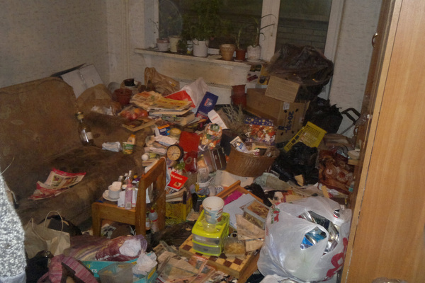 Мэрия через суд заставила екатеринбурженку ликвидировать свалку мусора в квартире и отдать почти 20 кошек - Фото 1