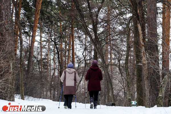 Екатеринбуржцев спросят о развитии Шарташского лесопарка - Фото 1