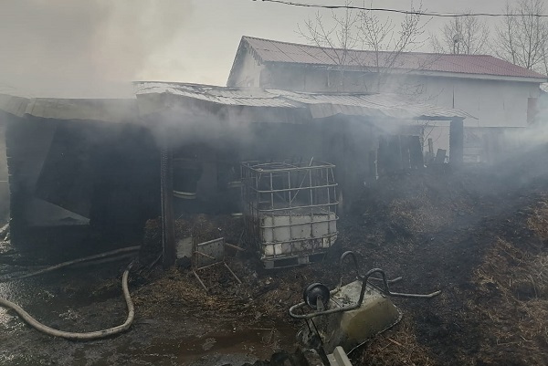 Фото: ГУ МЧС по Свердловской области