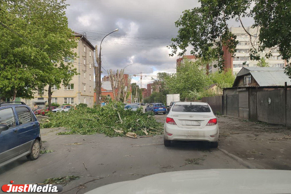 Падали на машины и повисали на проводах. Ураган сносил деревья в Екатеринбурге - Фото 1