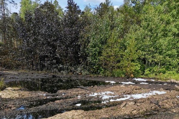 На севере Свердловской области из дыры в нефтепроводе вылились на почву несколько кубометров нефти - Фото 1