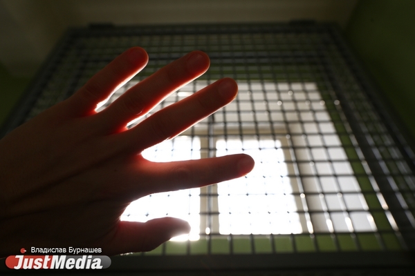 Депутат предложил проверять священников на психические отклонения - Фото 1