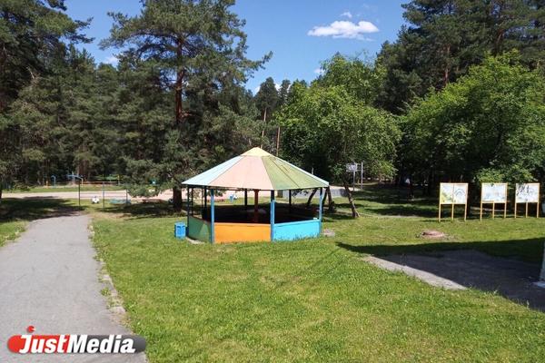 В Свердловской области стартовала оздоровительная кампания: первые загородные лагеря приняли школьников  - Фото 1