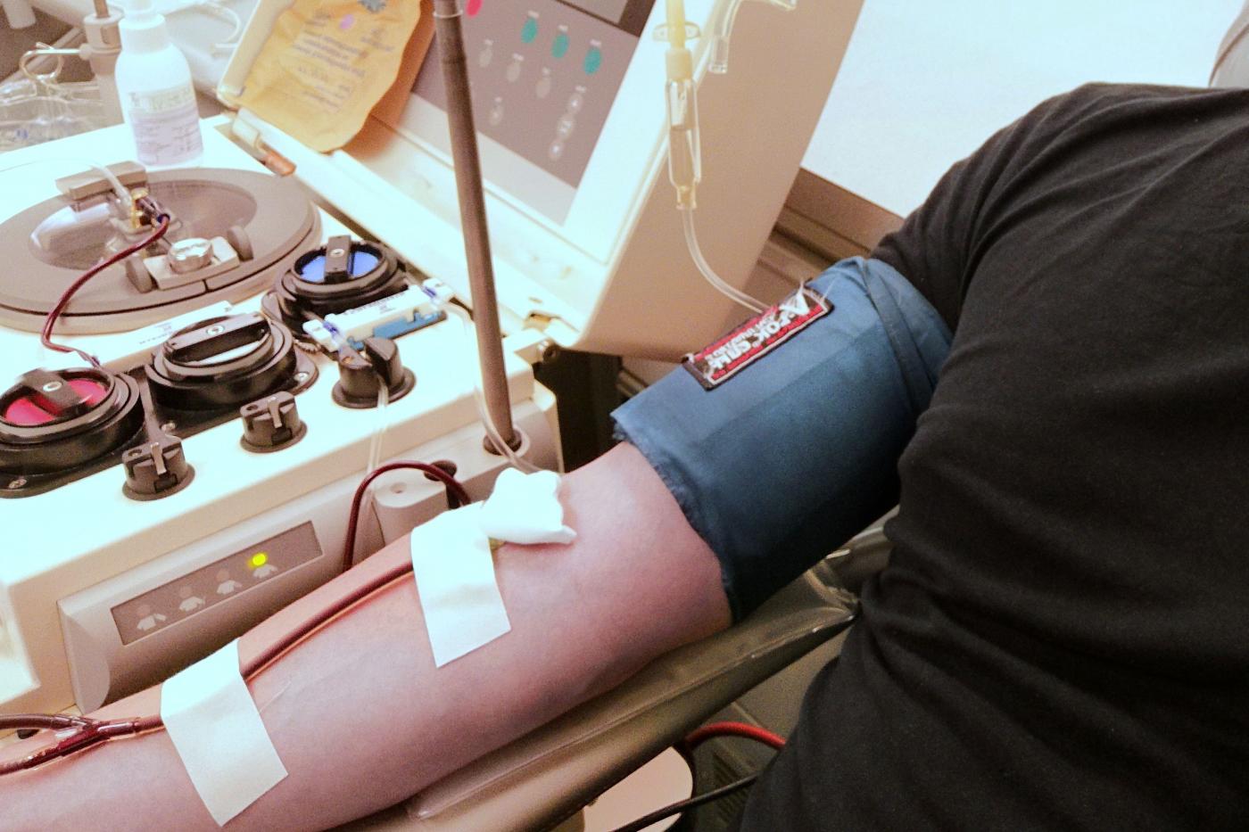 Вылечившиеся от коронавируса свердловские медики сдают иммунную плазму для больных COVID-19 - Фото 1