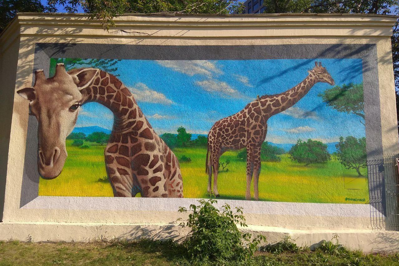 Новый фестиваль уличного искусства «Public art» представил первую работу в Екатеринбурге - Фото 1